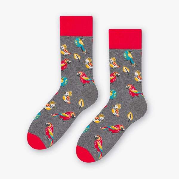 More Parrot Socks 079-267 Melange Grey