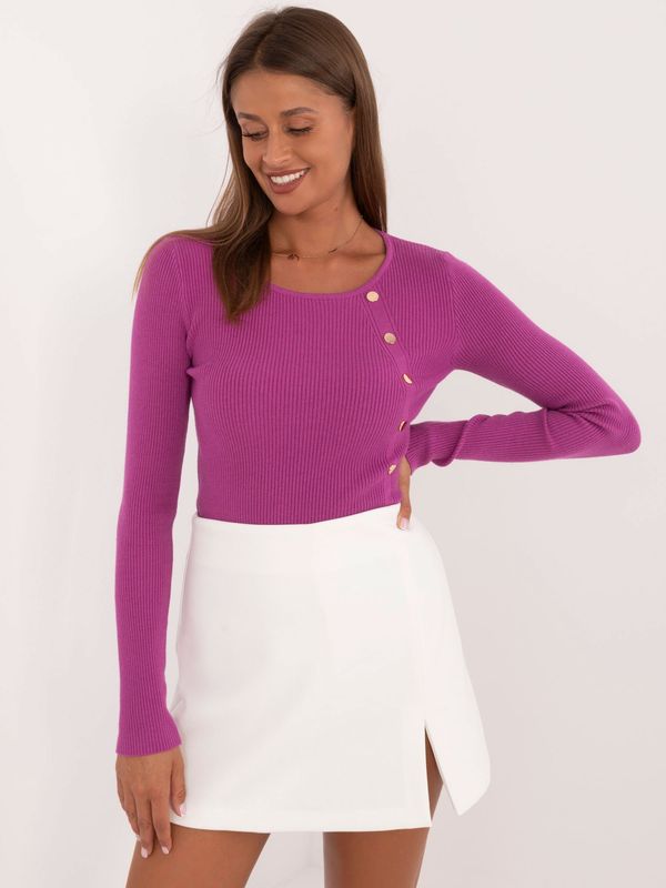 Fashionhunters Purple classic women's sweater