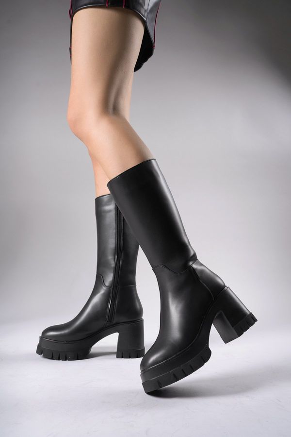 Riccon Riccon Lvamel Women's Below Knee Heeled Boots 0012501 Black Skin