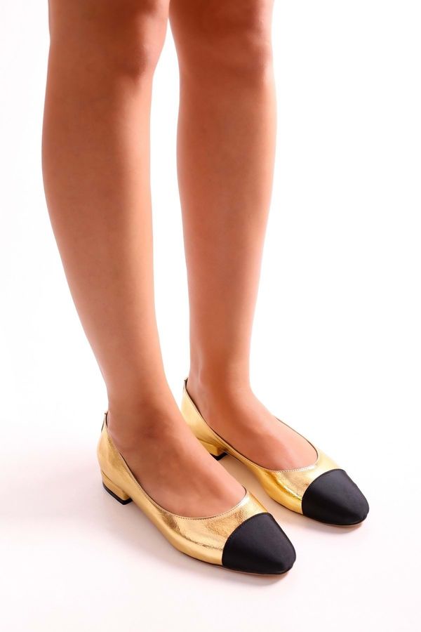 Shoeberry Shoeberry Women's Olidy Gold Gold Bi-tone Oval Toe Flats Gold Gold