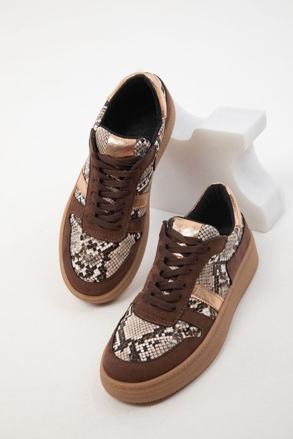 Soho Soho Coffee-Coffee Snake Women's Sneaker 19968