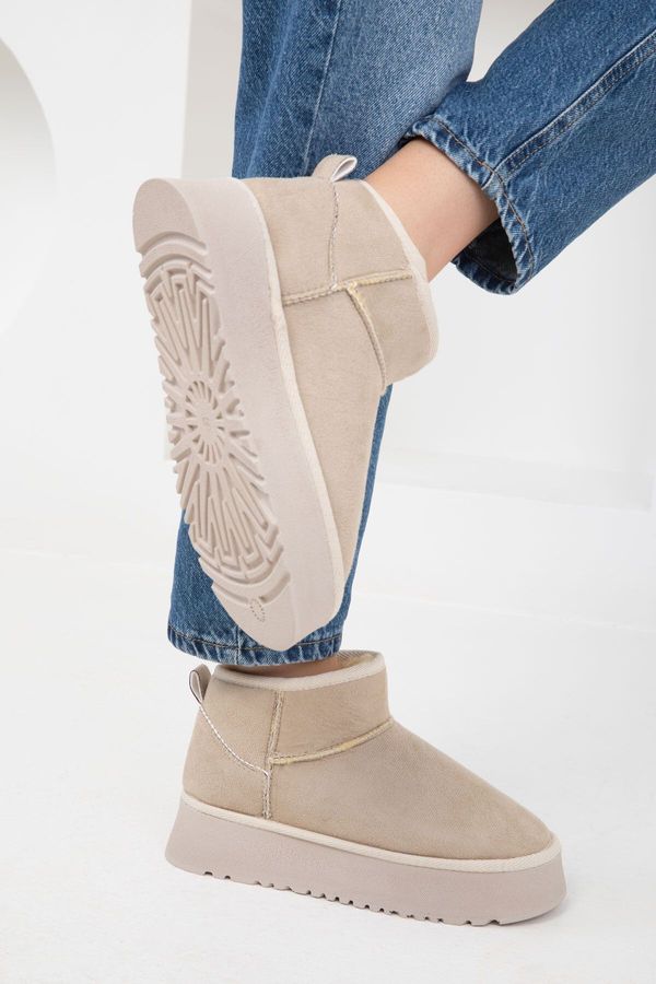 Soho Soho Ten Women's Suede Boots & Booties 18351