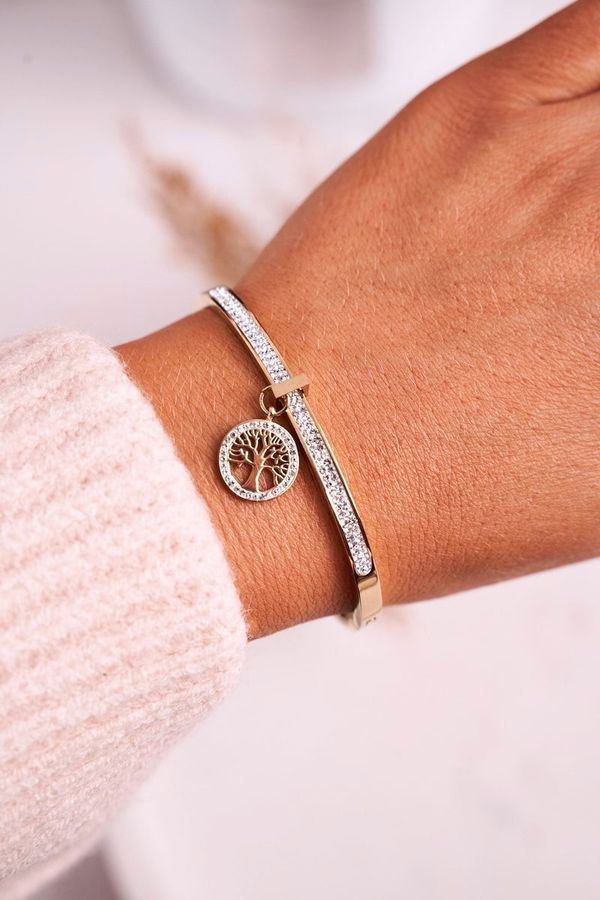 Kesi Steel bracelet with cubic zircon Tree of Life Golden Alive