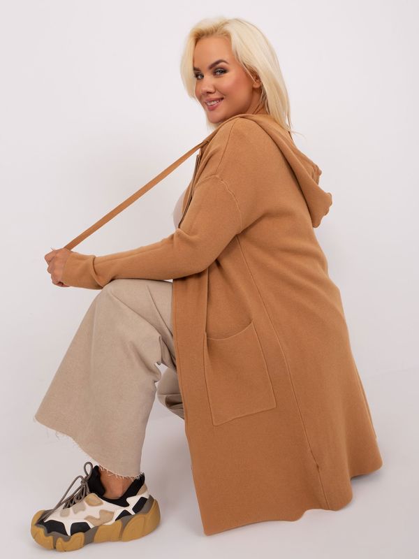 P-M Sweater-PM-SW-PM-3733.17-camel