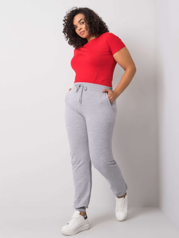 BASIC Feel Good Sweatpants-RV-DR-6301.88-gray