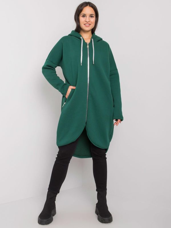 RELEVANCE Sweatshirt-RV-BL-5775.17X-dark green