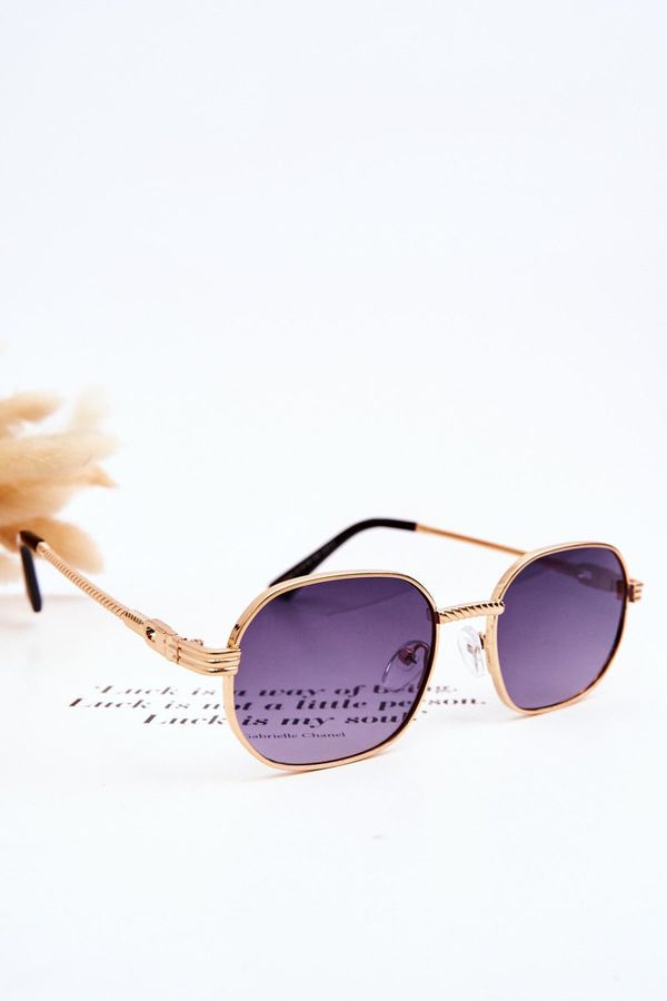Kesi Trendy Sunglasses Ful Vue Golden-Purple-Blue