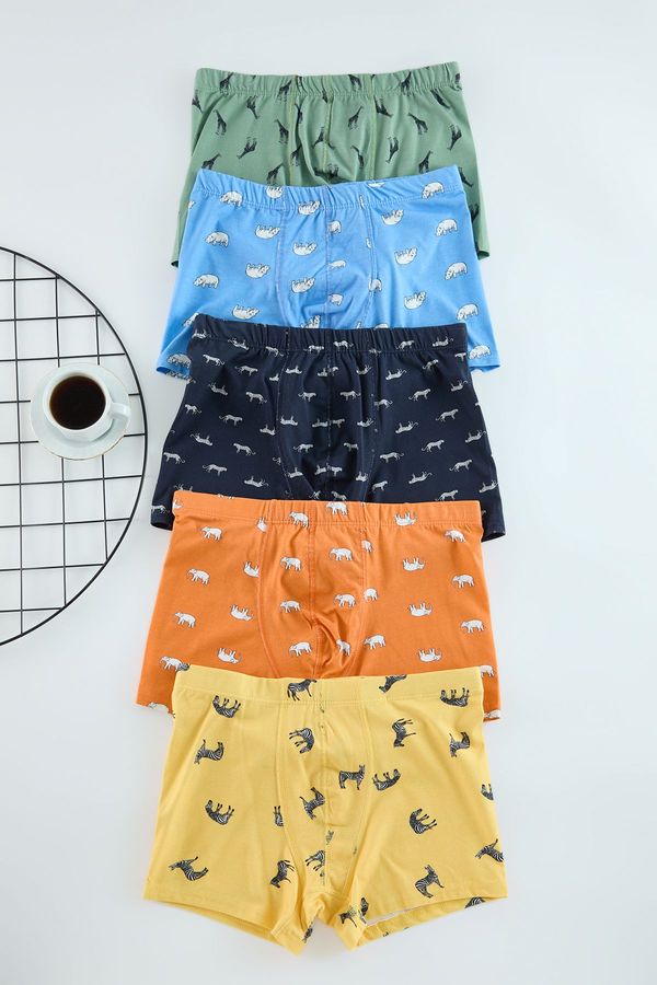 Trendyol Trendyol 5 Pack Patterned/Plain Pack Boxers