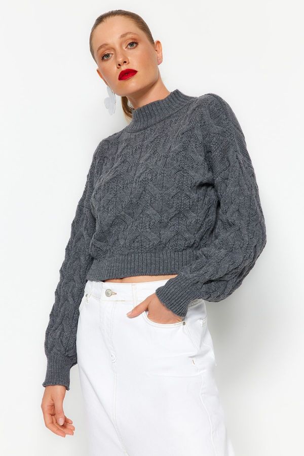 Trendyol Trendyol Anthracite Crop Stand-Up Collar Knitwear Sweater
