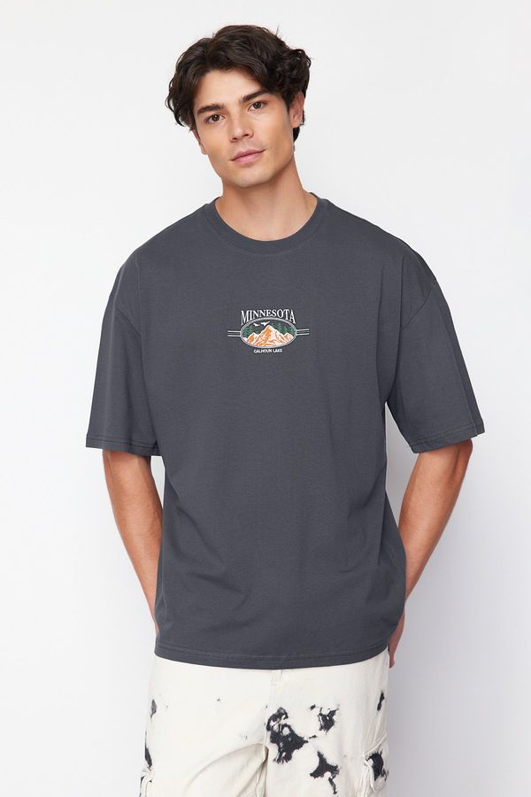 Trendyol Trendyol Anthracite Oversize/Wide Cut Landscape Embroidered 100% Cotton T-Shirt