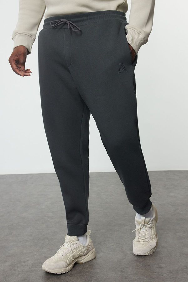 Trendyol Trendyol Anthracite Regular/Normal Cut Basic Plus Size Sweatpants