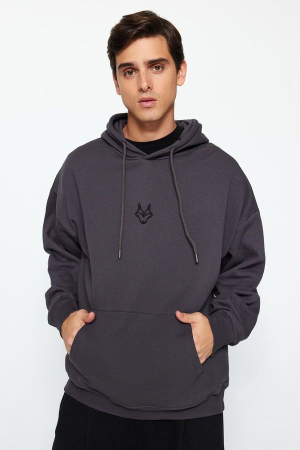 Trendyol Trendyol Anthracite Regular/Normal Cut Hooded Fleece/Warm Sweatshirt