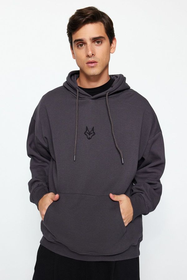 Trendyol Trendyol Anthracite Regular/Normal Cut Hooded Sweatshirt with Fleece Inside and Wolf Embroidery