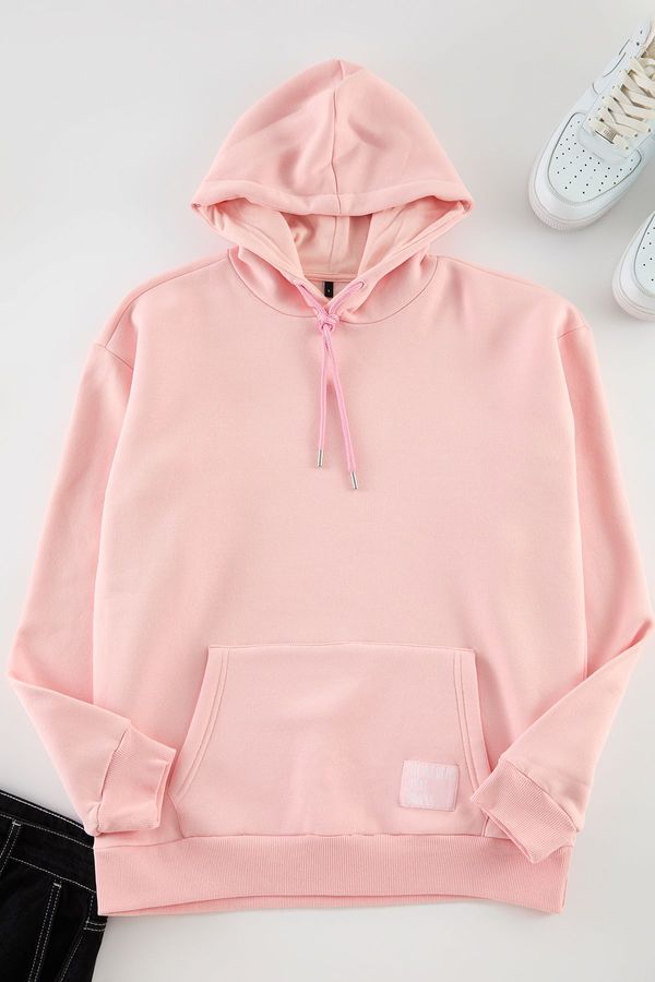 Trendyol Trendyol Basic Powder Oversize/Wide Cut Hooded Labeled Fleece Inside Cotton Sweatshirt