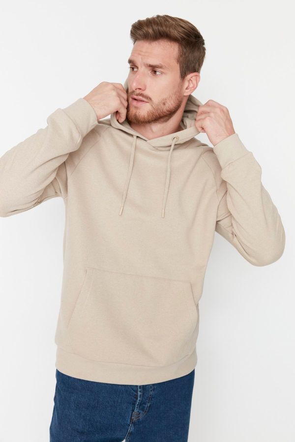 Trendyol Trendyol Beige Basic Regular/Normal Cut Hooded Fleece Inside Sweatshirt