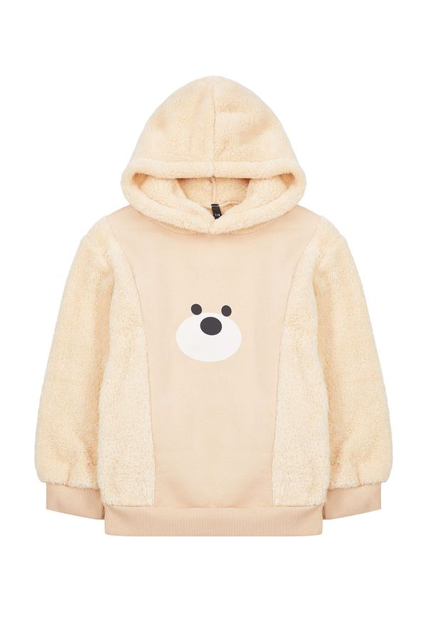 Trendyol Trendyol Beige Boy's Hooded Fleece Printed Knitted Sweatshirt