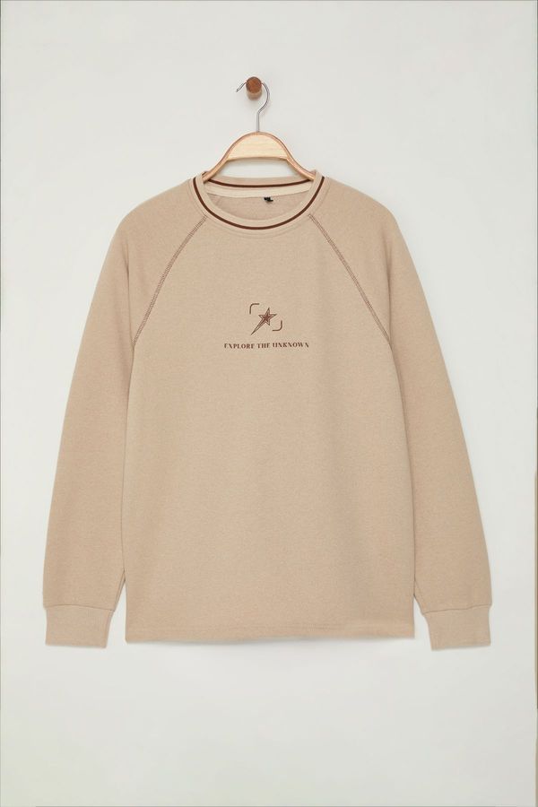 Trendyol Trendyol Beige Regular Cut Stitching and Collar Knitwear Tape Detailed Printed Sweatshirt