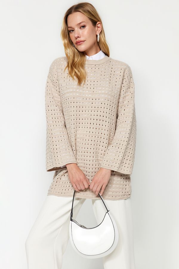 Trendyol Trendyol Beige Relaxed Cut Openwork/Hole Knitted Sweater