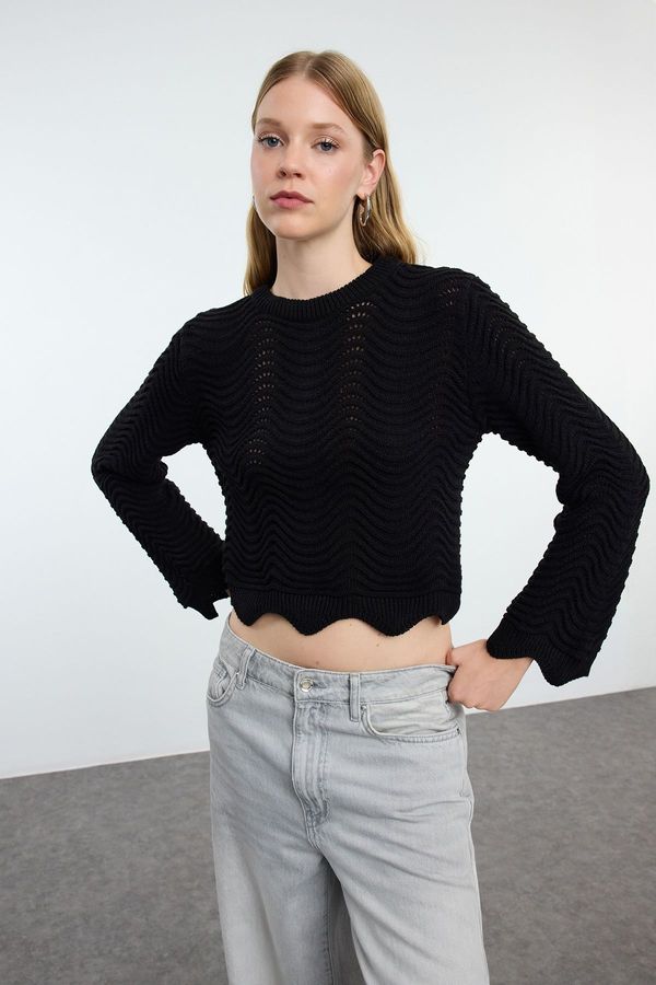 Trendyol Trendyol Black Openwork/Perforated Crew Neck Knitwear Sweater