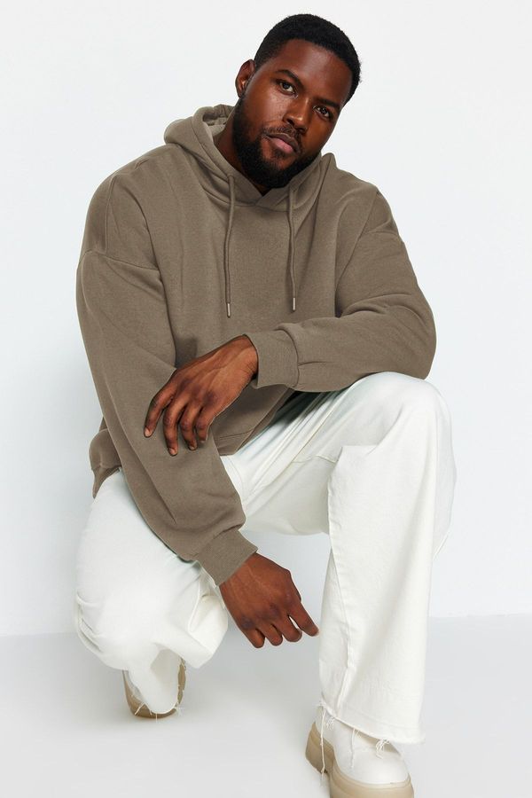 Trendyol Trendyol Brown Plus Size Basic Comfortable Hooded Labeled Cotton Sweatshirt with Fleece Inside