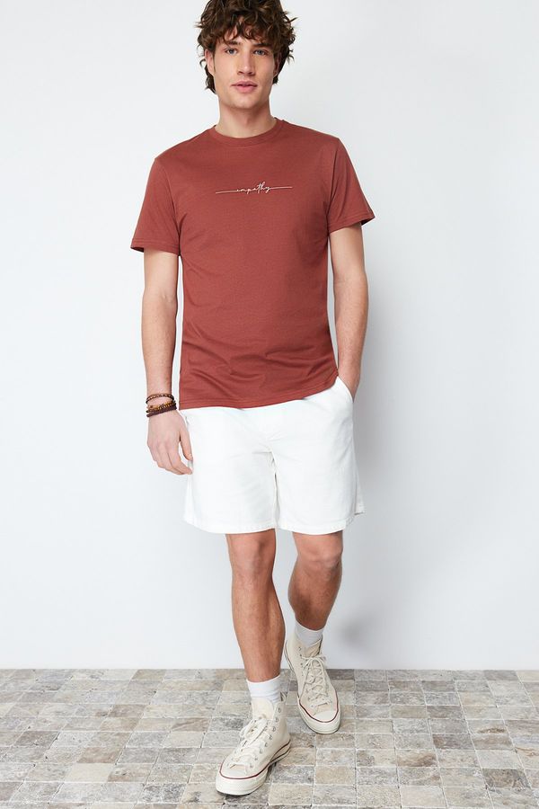 Trendyol Trendyol Brown Regular/Normal Cut Text Printed 100% Cotton Label Appliqué T-shirt