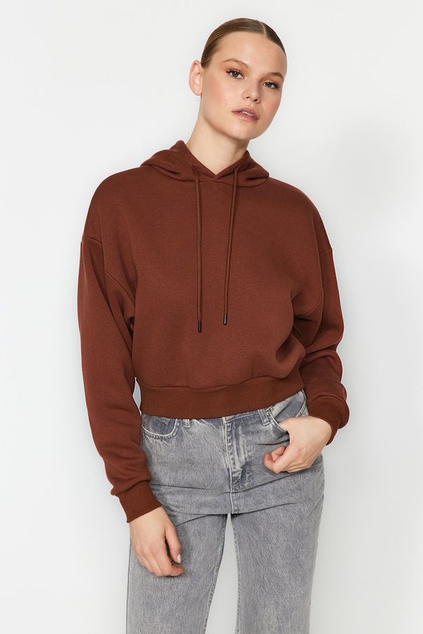 Trendyol Trendyol Brown Thick Fleece Hooded Comfort Fit Crop Basic Knitted Sweatshirt