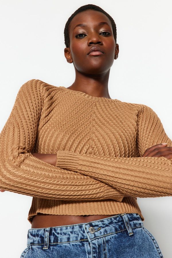 Trendyol Trendyol Camel Crop Crew Neck Knitwear Sweater