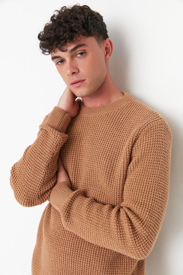 Trendyol Trendyol Camel Regular Fit Woolen Crew Neck Textured Basic Knitwear Sweater