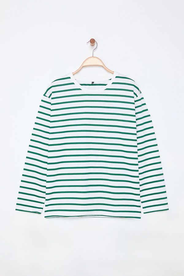 Trendyol Trendyol Curve Green Crew Neck Striped Knitted Sweatshirt