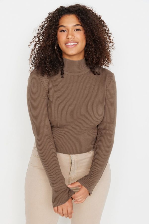 Trendyol Trendyol Curve Mink Half Turtleneck Thin Knitwear Sweater