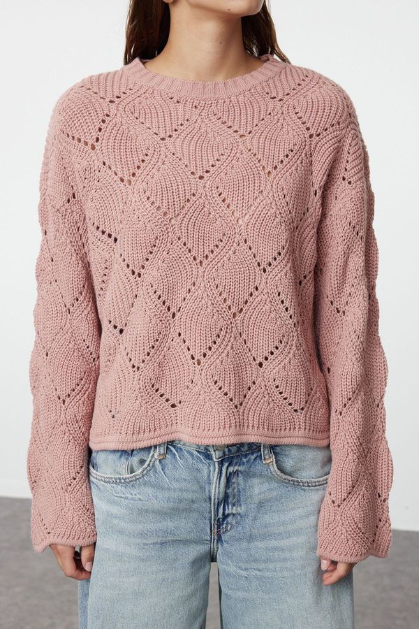 Trendyol Trendyol Dusty Rose Openwork/Hole Knitwear Sweater