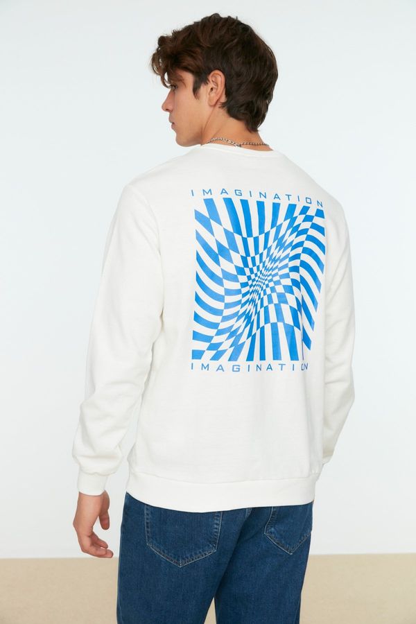 Trendyol Trendyol Ecru Men's Regular/Real Fit Long Sleeve Crewneck Printed Sweatshirt