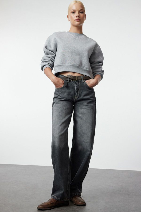 Trendyol Trendyol Gray More Sustainable Normal Waist Skater Jeans