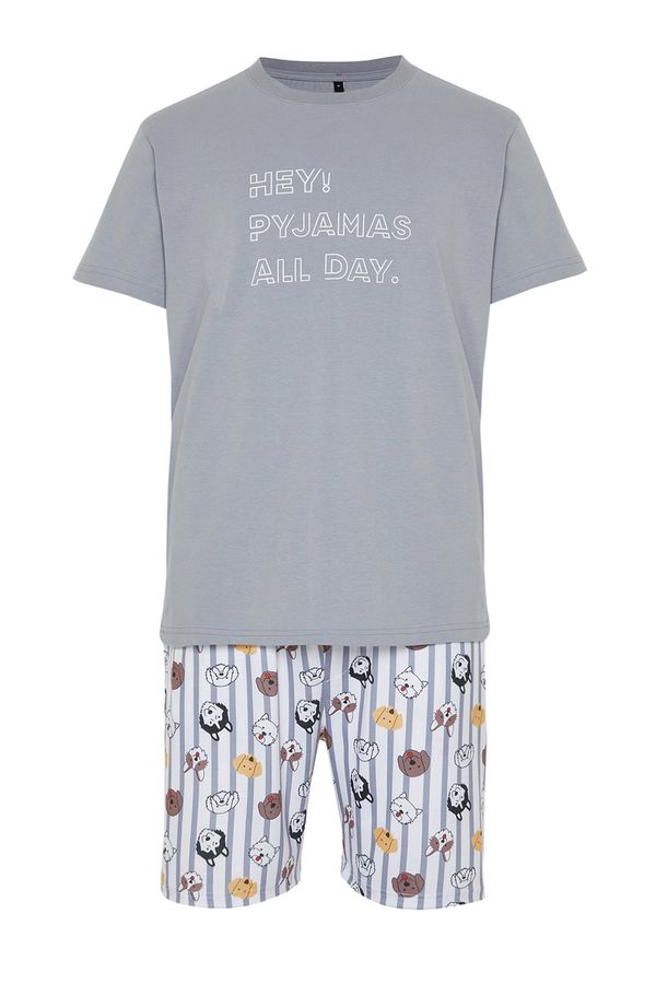 Trendyol Trendyol Gray Regular Fit Printed Knitted Pajamas Set