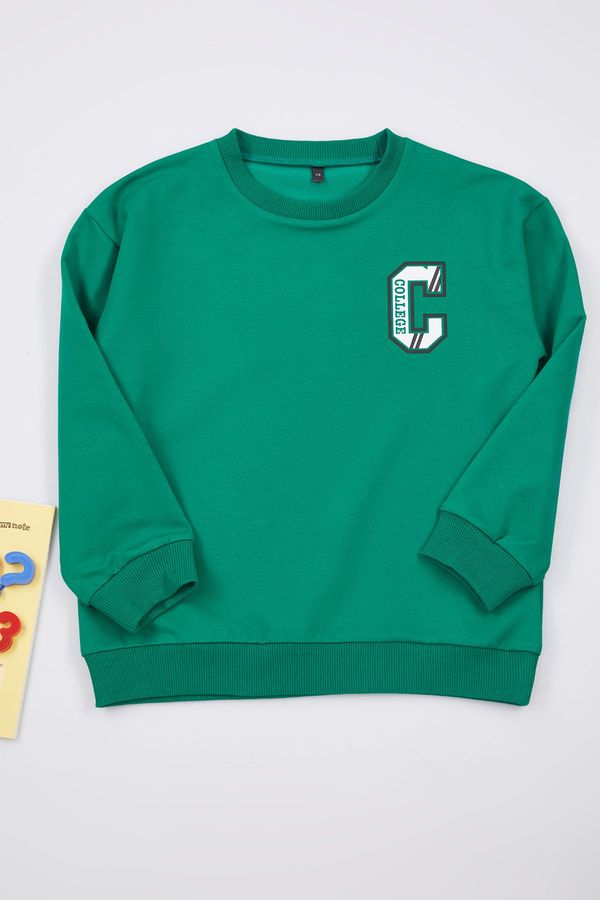 Trendyol Trendyol Green Boy Slogan Printed Crew Neck Knitted Sweatshirt