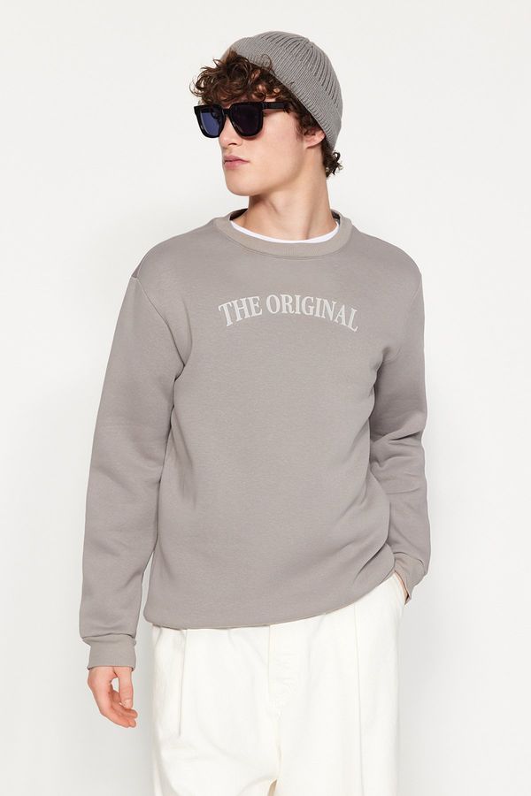 Trendyol Trendyol Grey Regular/Normal Cut Inside Polar Fleece/Warm Text Printed Sweatshirt