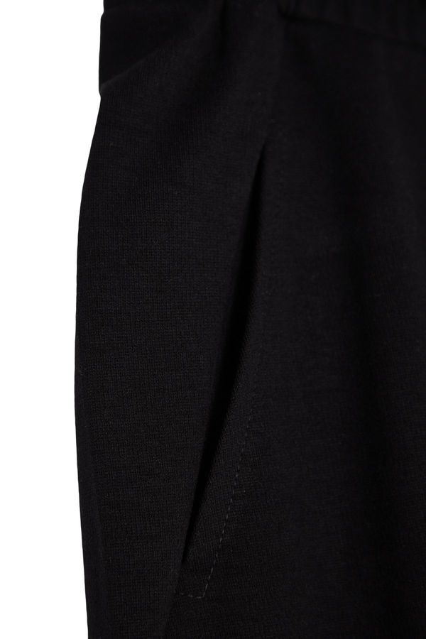Trendyol Trendyol Limited Edition Black Regular/Regular Fit Thick Sweatpants