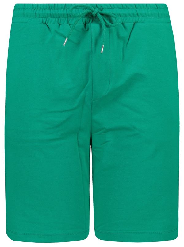 Trendyol Trendyol Men's Green Regular Fit Paneled Shorts