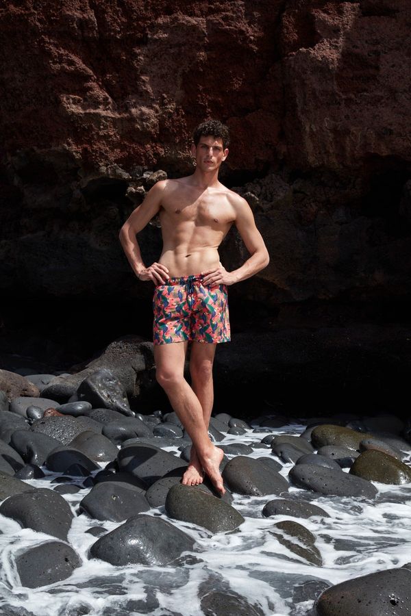 Trendyol Trendyol Men's Multi-colored Men's Standard Swimwear with a Parrot Print Swimming Shorts