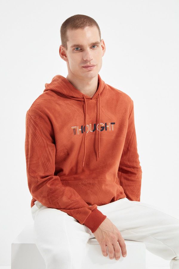 Trendyol Trendyol Men's Regular/Normal Fit Hoodie with Embroidery and Warm Thick Fleece/Plush Sweatshirt.