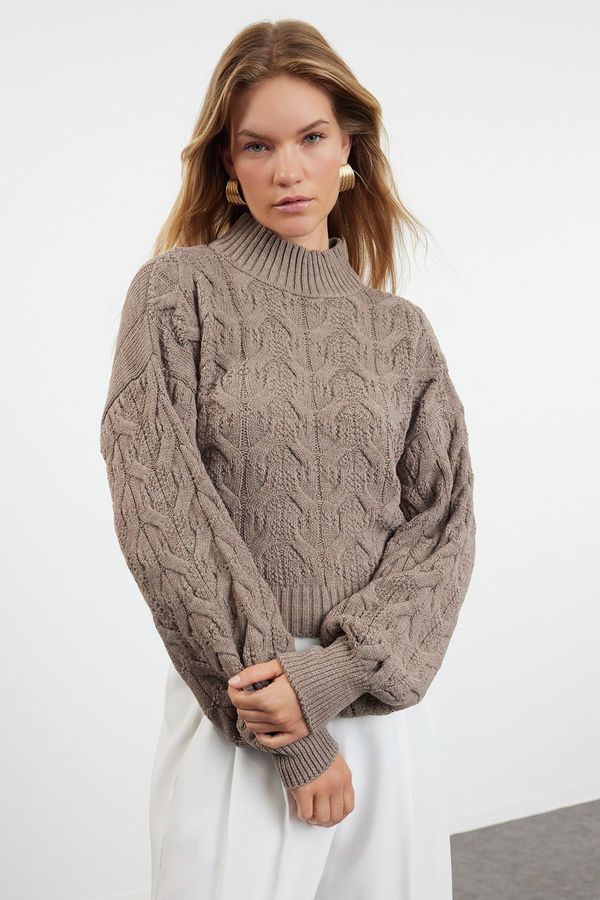 Trendyol Trendyol Mink Crop High Collar Knitwear Sweater