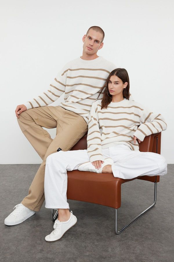 Trendyol Trendyol Mink FL Men's Oversize Crew Neck Striped Knitwear Sweater