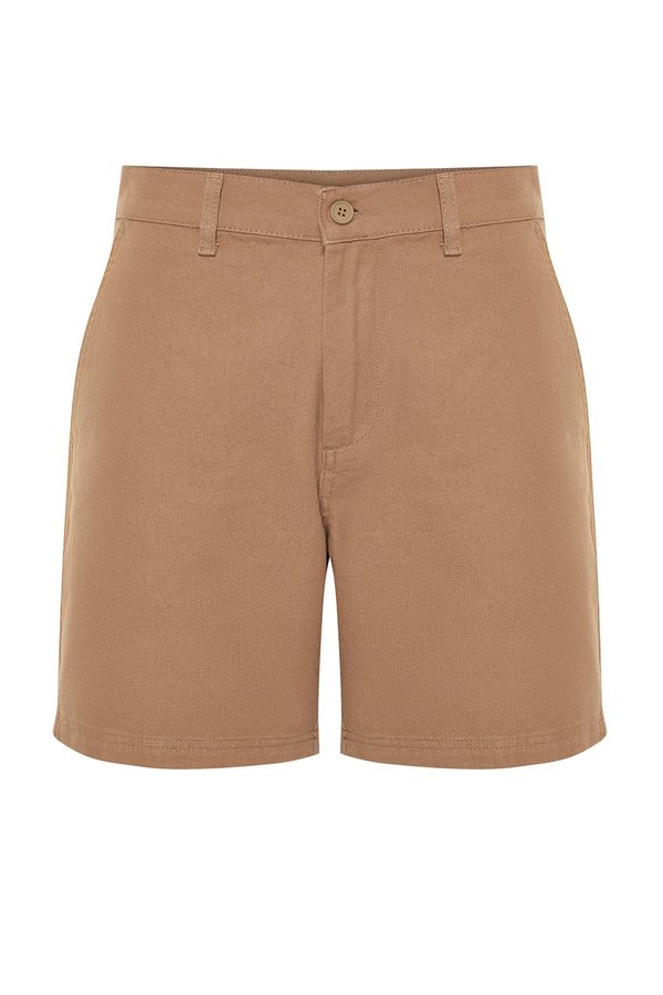 Trendyol Trendyol Mink Regular Fit Shorts Bermuda