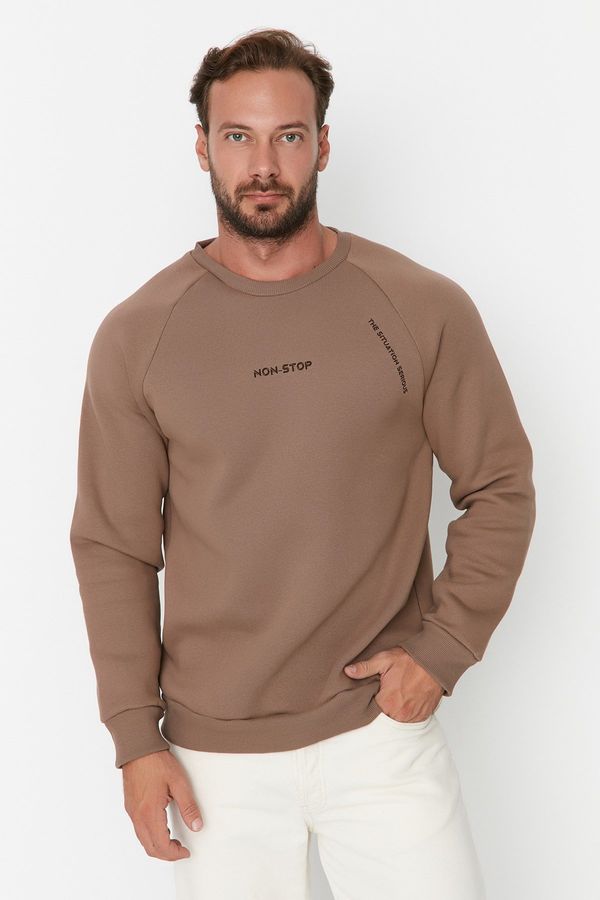 Trendyol Trendyol Mink Regular/Normal Cut Raglan Sleeve Text Printed Sweatshirt