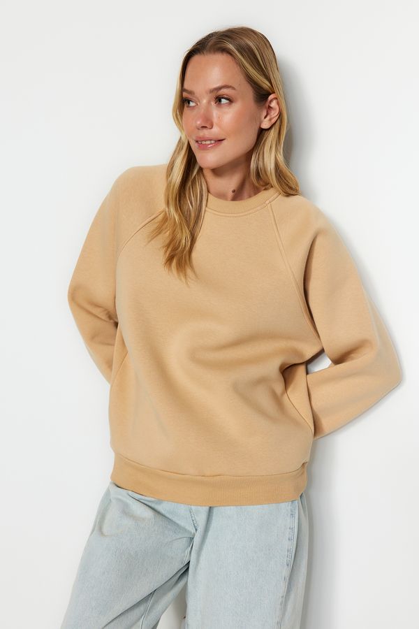 Trendyol Trendyol Mink Relaxed/Comfortable Fit Basic Raglan Sleeve Crew Neck Knitted Sweatshirt