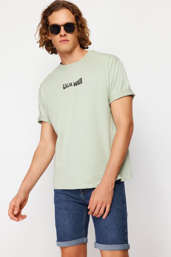 Trendyol Trendyol Mint Relaxed/Comfortable Cut Fluffy Text Back Printed 100% Cotton T-shirt
