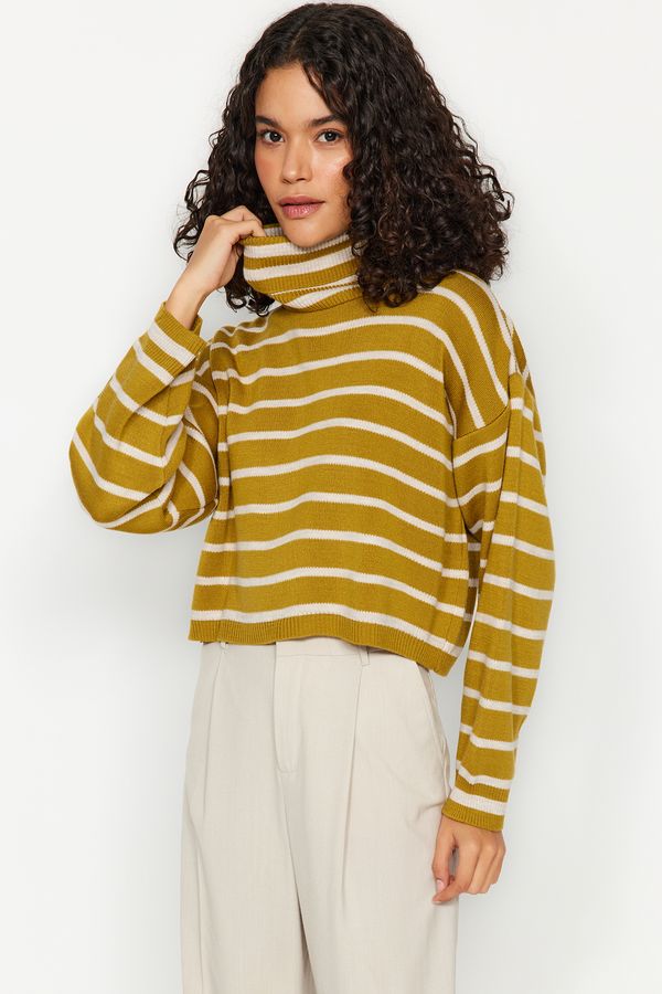 Trendyol Trendyol Mustard Crop Striped Knitwear Sweater