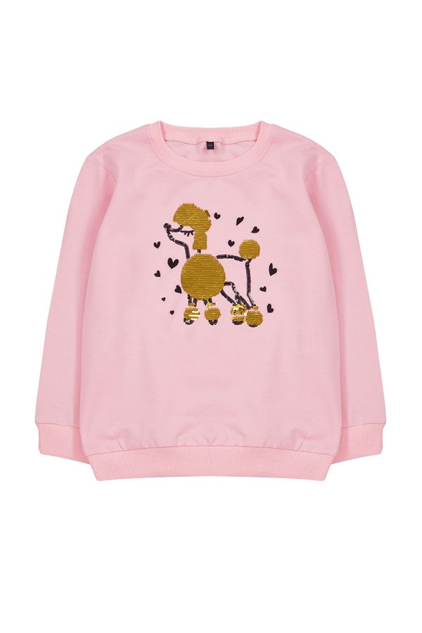 Trendyol Trendyol Pink Girl Seasonal-Thin Printed Cotton Knitted Sweatshirt