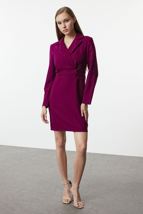 Trendyol Trendyol Plum Jacket Collar Mini Woven Dress