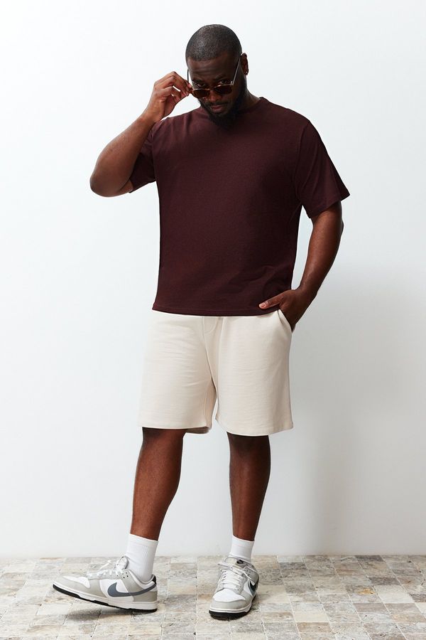 Trendyol Trendyol Plus Size Brown Regular/Normal Fit Comfortable Basic 100% Cotton T-Shirt